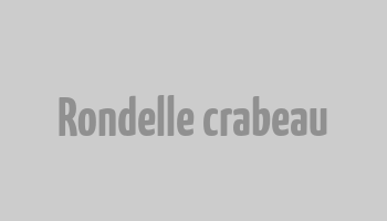 Rondelle crabeau